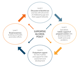 Holistic framework for FASD prevention (2008)