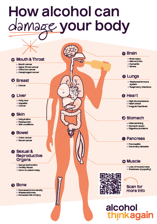 Poster of human body showing how alcohol can damage your body